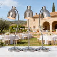 Lampe chauffante rétractable argentée pour aliments, chauffe-plats pour restaurant, buffet et usage domestique