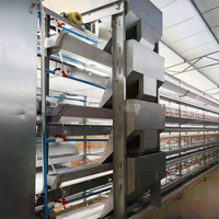 Un type treillis métallique galvanisé à chaud 4 pneus 128 poules système de ceinture de nettoyage automatique des déchets couche de cage de poulet