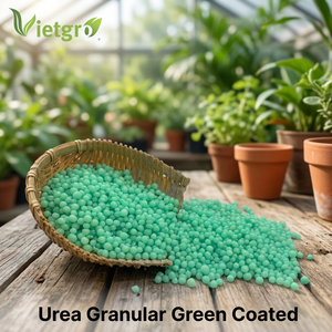 Granulés d'urée verte enrobée pour la nutrition des cultures agricoles - Product Image 3