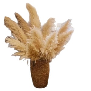 Bouquet de fleurs séchées nordiques, fleurs naturelles tendance pour la décoration intérieure, herbe de la pampa à grandes plumes, naturelle - Product Image 5