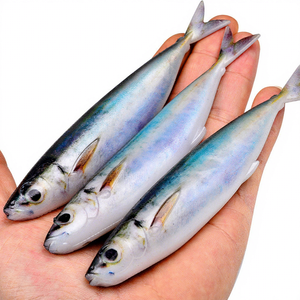 Leurre souple artificiel en plastique transfrontalier 14,5 cm 33,3 g sans plomb pour la pêche à la maquereau japonais et espagnol inversé, simulation de pêche - Product Image 2