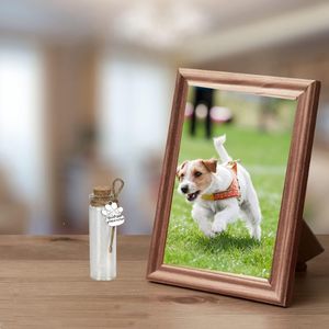 Heybo Toptan Modern Kedi Köpek Tüyü Saklama Süsü Şeffaf Cam Evcil Hayvan Tüyü Kutusu Hatıra - Product Image 6