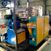Máquina HONTO HT-500 de Extrusión Simple con Cambiador Hidráulico de Malla para Tratamiento de Película y Fabricación de Film Estirable de PE