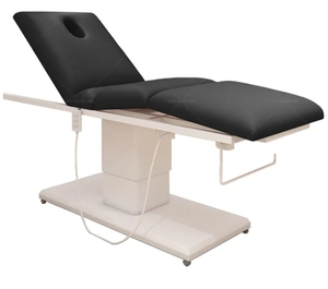 Cama de Spa Eléctrica Moderna de Acero Inoxidable con 3 Motores y Reposacabezas Fijo para Uso en Salón - Product Image 1