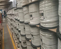 Câble électrique en cuivre Nmd90 300v certifié CSA, câble isolé en PVC solide, câble isolé en PVC, 14 12 10 8 6 AWG Nmwu nmd