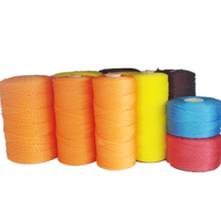 Fabricant de ficelle d'emballage en plastique de couleur personnalisée tressée en corde de ficelle PE torsadée en polyéthylène PE