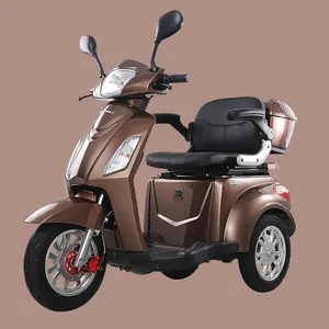 VISTA-1 Electric_Scooters_for_Sale電動スクーター500ワット電動スクーター10インチ