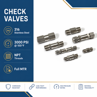 Vanne de contrôle d'instrumentation en acier inoxydable SS304/SS316/laiton, raccords NPT/BSP/métriques, pression de craquement 1/3-25 psig, 3000 PSI, personnalisable OEM, expédition rapide