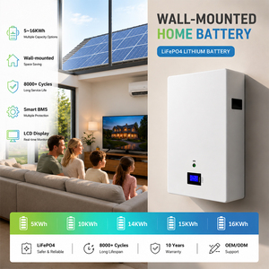 แบตเตอรี่เก็บพลังงานแสงอาทิตย์สำหรับใช้ในบ้านแบบติดผนัง 51.2V 15kWh 16kWh LiFePO4 ชาร์จซ้ำได้ อายุการใช้งานยาวนาน 8000 รอบ - Product Image 2