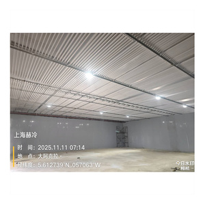 Chambre froide industrielle sur mesure à <span class=keywords><strong>prix</strong></span> réduit pour le stockage de fruits, légumes et viande – Congélateur de plain-pied - Product Image 4