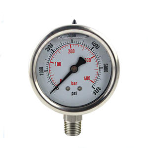 कारखाने मूल्य शर्मीला ब्रांड SHY-YN-60 वैक्यूम 1/4 "उच्च दबाव 304 स्टेनलेस स्टील शॉक-प्रतिरोधी दबाव गेज 0-400बार 1 वर्ष - Product Image 1