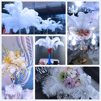 Grandes Plumes d'Autruche Blanches pour Carnaval, Festivals, Mariages, Décorations de Fête, Fourniture Naturelle en Gros, Vente Pas Chère, Motif Lavé