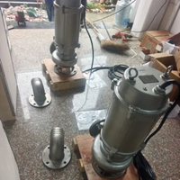 Pompa Air Limbah Submersible SS304 Anti-Sumbat untuk Drainase Air Kotor Ringan