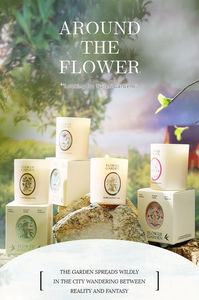 Bougie parfumée d'aromathérapie de style moderne boîte-cadeau de parfum nordique haut de gamme Souvenir créatif culturel pour la décoration de la maison - Product Image 3