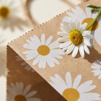 Sac promotionnel classique en papier kraft avec impression numérique et offset