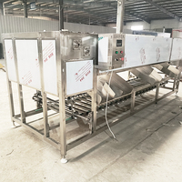 YOUBAN Automatische Fruitgewichtsorteermachine Appel Avocado Tomaat Gewichtsselectiemachine voor Fruitverwerkingslijn