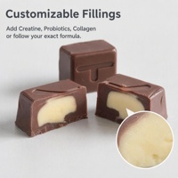 Fournisseur direct d'usine, bouchées de chocolat probiotiques végétaliennes sans gluten pour une nutrition quotidienne