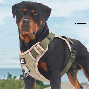 Rompi tali anjing nilon dengan tali dada Reflektif besar <span class=keywords><strong>Harness</strong></span> hewan peliharaan anjing dengan tali pengikat Tangan tahan ledakan untuk anjing besar - Product Image 1