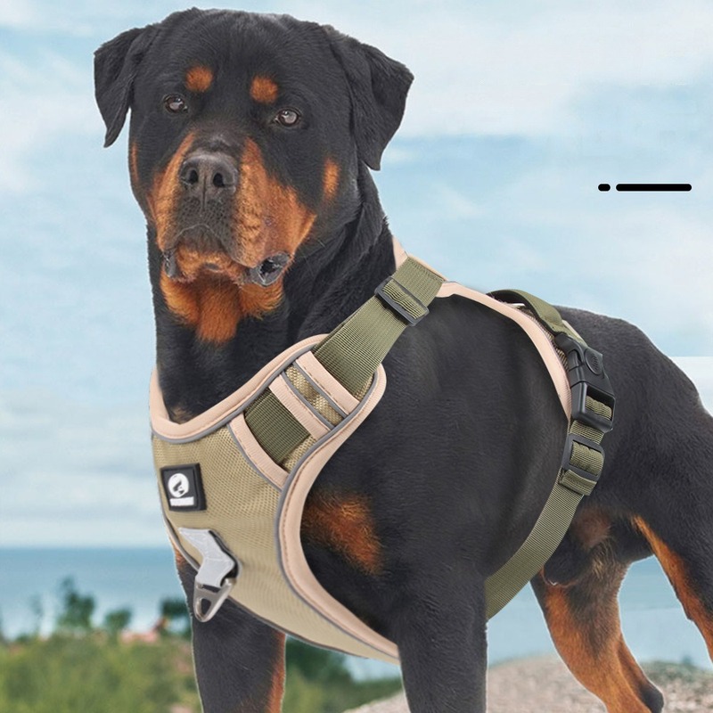 Nylon Dog Leash Vest with Reflective