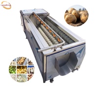 Bangkok Gebruikte Aardappelschiller Lotuswortelreiniging Wortelwasmachine Gemberwasmachine