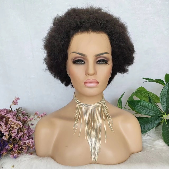 Alia Hair 10inch Natural Color Full Lace Frontal HD Wig Afro Curly Human Hair Wig High Quality Full Lace hd Lace Virgin Wig