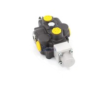 Vanne hydraulique manuelle personnalisable RD5100NPT-QTW à 1 bobine, entrée/sortie 3/4 NPT, 250 bars, pour agents mondiaux
