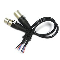 Kabel Audio Kustom 1 ke 2 Male Cantell Power Wire Harness PVC Insulated HLR Cable DC5521 Kabel Ekstensi Audio Mikrofon