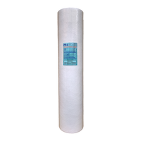 Purificateur d'eau à charbon actif Big Blue à 2 étapes