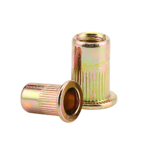 Écrous à rivets Shence M3 à M24 à tête plate métrique moletée pour l'industrie de la construction - Product Image 1