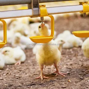 YT capa de cría de aves de corral fuente de agua sistema de línea de bebida de acero inoxidable bebedero de pezón de pollo automático