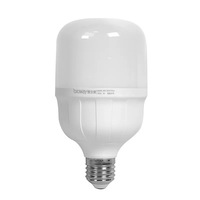Ampoule LED AC 220V 2835 5W 10W 15W 20W 30W 40W 50W Lampe à économie d'énergie revêtue de plastique Haute luminosité Blanc froid 6000K