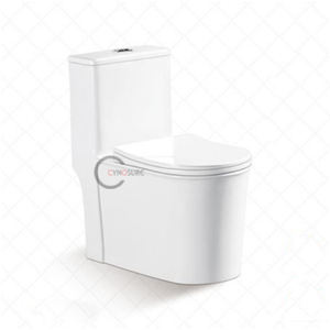 Toilette monobloc tendance - Aménagement de salle de bain moderne - Product Image 1