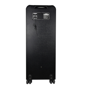 T kép 8 inch đa phương tiện truyền thông không dây Xe đẩy DJ Loa di động với pin có thể thay thế altoparalante torre Bluetooth - Product Image 3