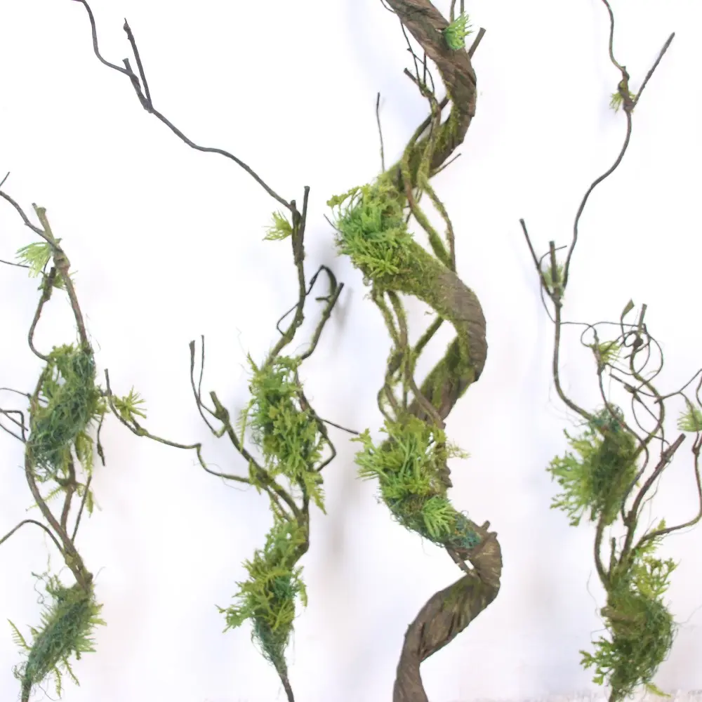 Ramos de árvore seca longa com musgo verde para decoração de casa