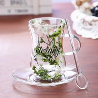 Tasse à café moderne en verre borosilicate à double paroi, avec fleurs séchées naturelles, soucoupe et cuillère, idéale pour les cadeaux
