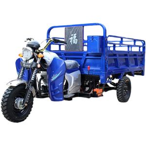 Tricycle à essence du Ghana avec moteur Tricycle à moteur 150cc Triciclo Motocar Motocarro Mototaxi pour le fret - Product Image 2