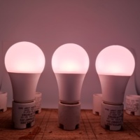 Ampoule LED de culture rouge et bleue certifiée CE FCC, dimmable, sans scintillement, 120V, culot E26, lumière de culture commerciale pour plantes, pour le marché américain