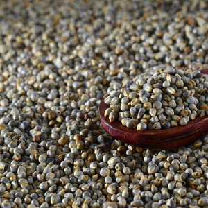 Bajra de qualité commerciale - Product Image 1