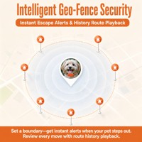 Collier GPS pour chien (sans PDA) avec alertes de sortie de zone, analyse de temps de présence, étanche IP68, silicone, 4G, Bluetooth