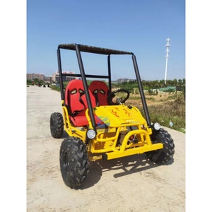 Go-Kart da Corsa Omologati per Strada, Design Popolare, Noleggio Go-Kart, Buggy Go-Kart, Go-Kart Fuoristrada, Capacità di Carico 450 KG - Product Image 2