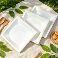 Assiette jetable carrée en bagasse de canne à sucre écologique, résistante, pour plats à emporter, pour restaurant