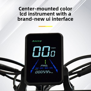 Scooter/Motocicletta Elettrica a Due Ruote con Pneumatici Larghi da 20 Pollici, Motore Brushless, Batteria al Litio da 20Ah, Sospensione Soft-tail Esclusiva - Product Image 4