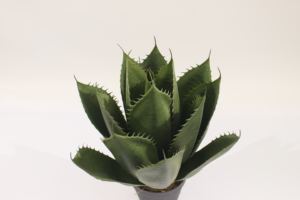 JWT3874 Plantas Suculentas Artificiales <span class=keywords><strong>de</strong></span> Aloe <span class=keywords><strong>Vera</strong></span> PARA EL Hogar, Jardín, Paisajismo, Oficina, Escritorio, Decoración <span class=keywords><strong>de</strong></span> Plantas - Product Image 3