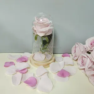Personalizado barato baixo preço razoável dia presentes vidro cúpula único preservado eterna flor seca coberto levou luz rosa cúpula de vidro
