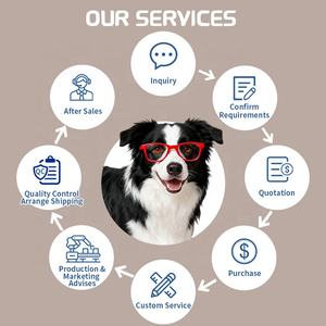 قطرات الرؤية للحيوانات الأليفة من المصنع الأصلي بنكهات مخصصة لصحة العين للكلاب والقطط - Product Image 3