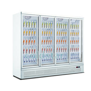 Congélateur vertical à porte battante / Congélateurs commerciaux à porte vitrée / Réfrigérateur vertical de classe C pour boissons - Product Image 2