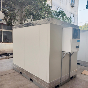 Phòng mát, phòng tủ lạnh, phòng đông lạnh, hộp cách nhiệt rau và trái cây - Product Image 1