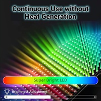 Pantalla LED Flexible Transparente Personalizable, Cortina LED Flexible para Automóviles, Resistente al Agua, Fabricante