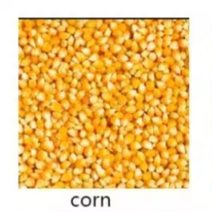 Công nghiệp hiệu quả cao khí nén hạt Thiết bị xử lý/khí nén hạt băng tải Máy hút hạt - Product Image 5