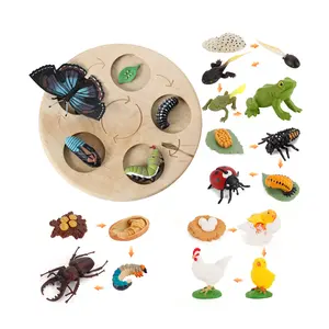 HUAMJ 새로운 곤충 라이프 사이클 보드 어린이 모델 장난감 몬테소리 교육용 어린이 나무 학습 장난감